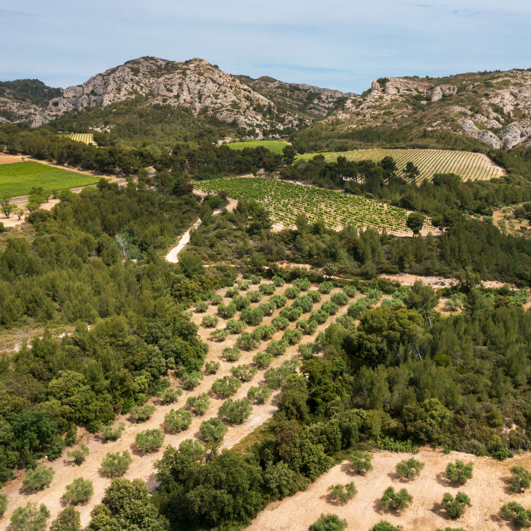 AOP - Les Beaux de Provence